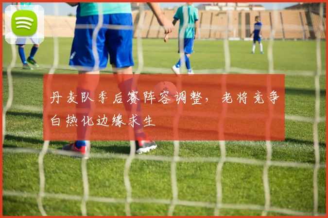丹麦队季后赛阵容调整，老将竞争白热化边缘求生