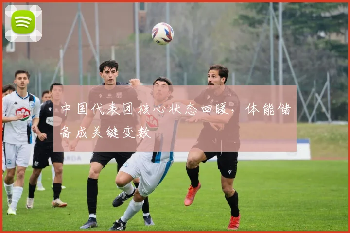 中国代表团核心状态回暖，体能储备成关键变数