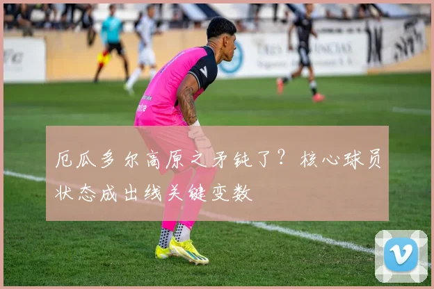 厄瓜多尔高原之矛钝了？核心球员状态成出线关键变数